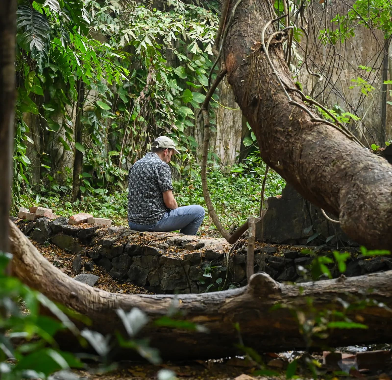 Ecological Symbiosis